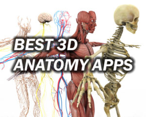 What are the Best 3D Anatomy Apps and Why (Free and paid)? A Review